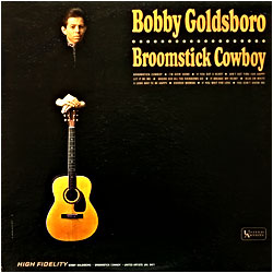Cover image of Broomstick Cowboy