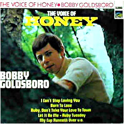 Cover image of The Voice Of Honey