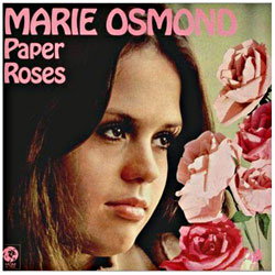 Cover image of Paper Roses